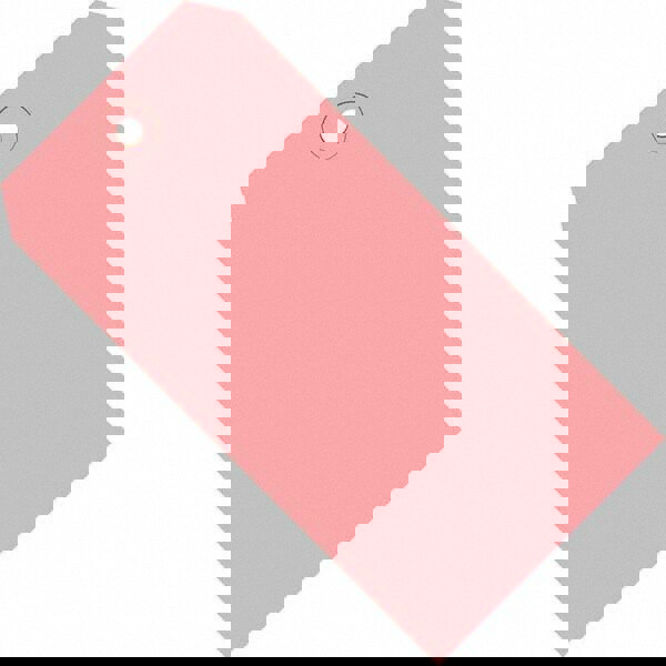 Blank Tag: 4-1/4'' High, Pink, Synthetic Paper
